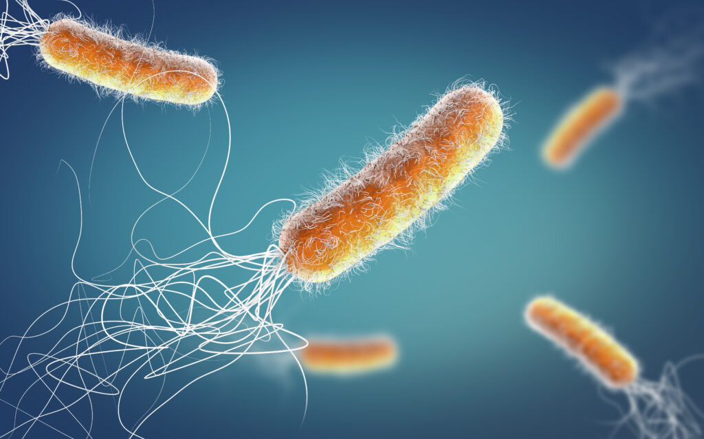 Illustration - Antibiotic resistant Pseudomonas aeruginosa bacterium